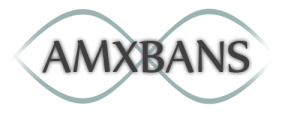 AMXBans